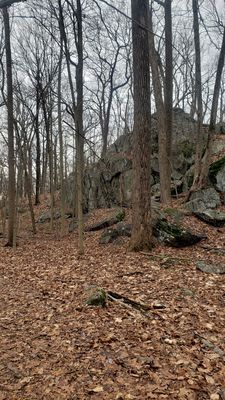 Cranberry Lake Preserve by null