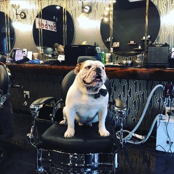 Joseph Guin Barber - Barbers Near Me - Shreveport, Louisiana Joseph Guin Barber - Barbers Near Me - Shreveport, Louisiana