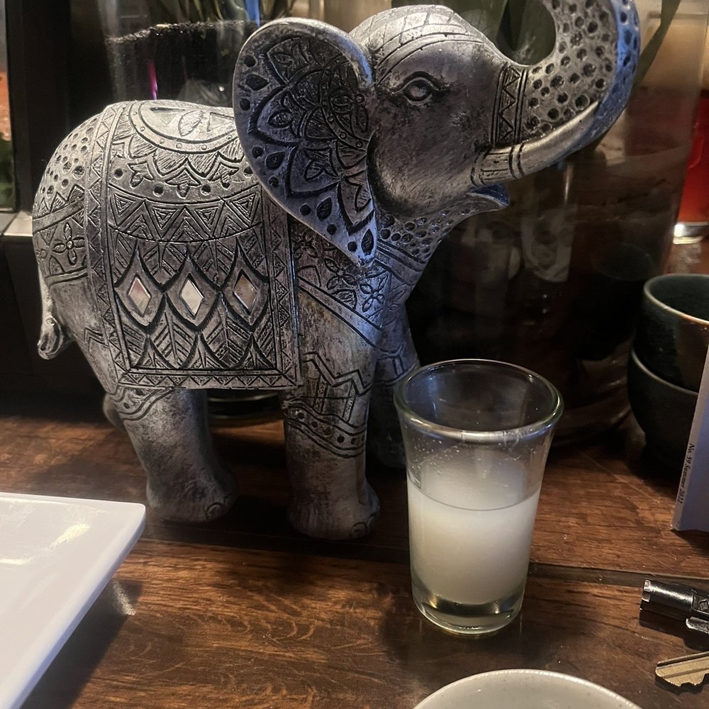 Drunken Poet - The elephant likes sake too! - Sushi Bars Near Me - Sarasota, Florida Drunken Poet - The elephant likes sake too! - Sushi Bars Near Me - Sarasota, Florida