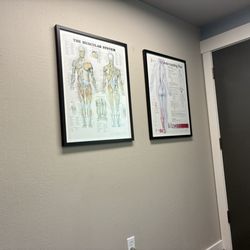 Tacoma Chiropractic Center - Body bits