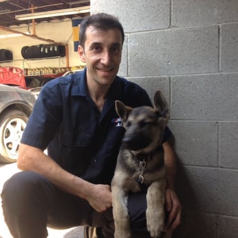 MFast Auto Repair - Be sure to say hi to Rexy, Yourik's new shop puppy!!! - Auto Repair Near Me - Los Angeles, California