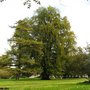 Photo of Landschaftspark Hoppenrade