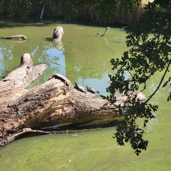 Del Meyer Park - Parks Near Me - Elk Grove, California Del Meyer Park - Parks Near Me - Elk Grove, California