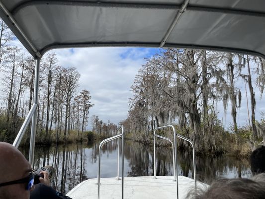 Okefenokee Adventures by null