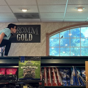 Living Things - Chased my bird around the store for 30 minutes with nets. Quite traumatizing. - Pet Stores Near Me - Orefield, Pennsylvania