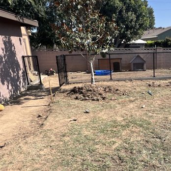 J Rodriguez Tree Care Maintenance - Backyard before J Rodriguez - Tree Services Near Me J Rodriguez Tree Care Maintenance - Backyard before J Rodriguez - Tree Services Near Me