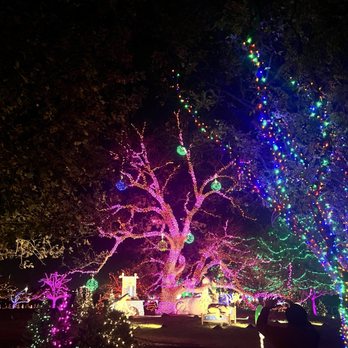 Austin Trail of Lights - Festivals Near Me - Austin, Texas Austin Trail of Lights - Festivals Near Me - Austin, Texas