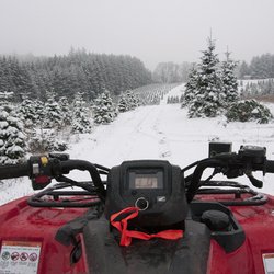 Butte Creek Tree Farm