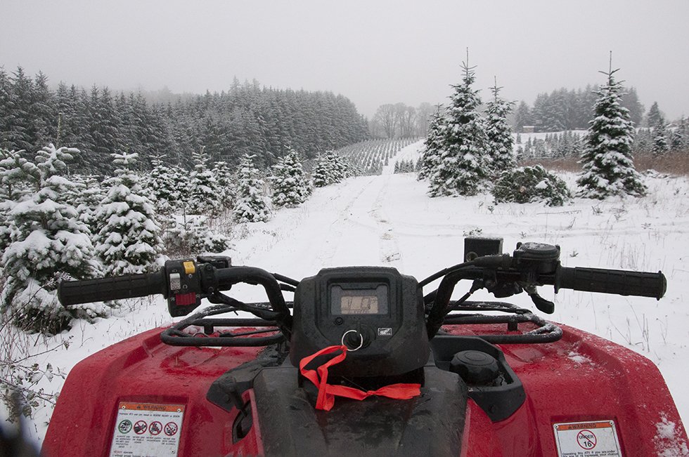 BUTTE CREEK TREE FARM Updated October 2024 14 Photos 10375 S Maple Grove Rd, Molalla