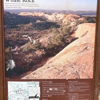 Whale Rock Trail - Parks Near Me - Moab, Utah