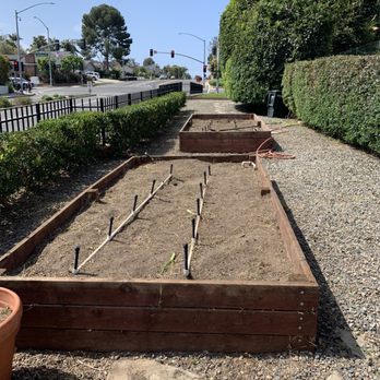 Orange County Tree Services - Veggie boxes ready to plant!! - Tree Services Near Me Orange County Tree Services - Veggie boxes ready to plant!! - Tree Services Near Me