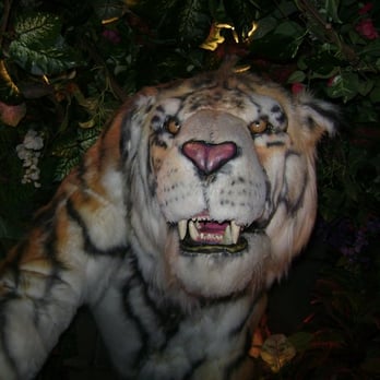 Rainforest Cafe - American Near Me - San Antonio, Texas Rainforest Cafe - American Near Me - San Antonio, Texas