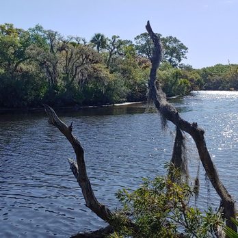 Jelks Preserve - Parks Near Me - Venice, Florida Jelks Preserve - Parks Near Me - Venice, Florida