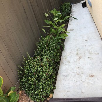 Chula Vista Lawn - Side yard - Landscaping Near Me