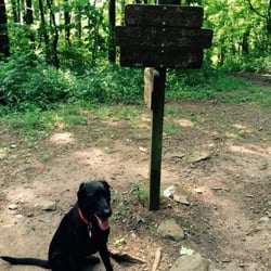 Lake Winfield Scott Recreation Area - Little trek with the dog