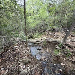 Spicewood Valley Trail