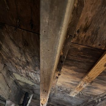 Gauthier's Home Inspection Services - Home Inspectors Near Me - Thibodaux, Louisiana Gauthier's Home Inspection Services - Home Inspectors Near Me - Thibodaux, Louisiana