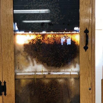 Trax Farms - Bee display in the dining area - Fruits & Veggies Near Me - Finleyville, Pennsylvania