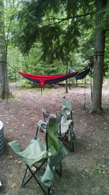 Interlochen State Park by null