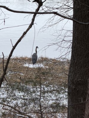 Daniel Stowe Conservancy by null