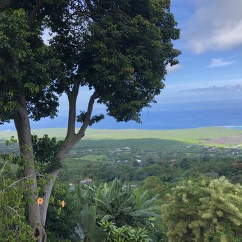 The Coffee Shack - View from our table - Coffee & Tea Near Me - Captain Cook, Hawaii The Coffee Shack - View from our table - Coffee & Tea Near Me - Captain Cook, Hawaii