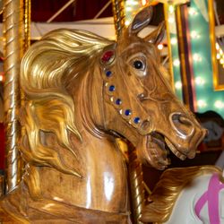 Volo Museum - Volo Museum! (keepsmilingphoto.com)
