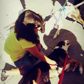 The Castro District - Sometimes - dogs can teach "the humans" how to chill! :p - Local Flavor Near Me The Castro District - Sometimes - dogs can teach "the humans" how to chill! :p - Local Flavor Near Me