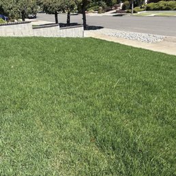 front yard