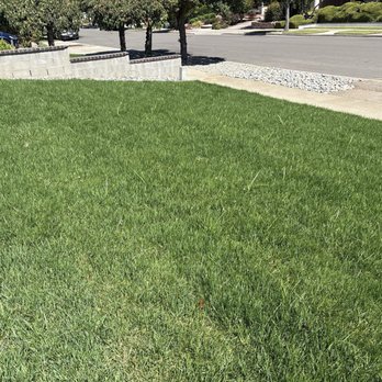 Juarez And Sons Landscaping - front yard - Landscaping Near Me