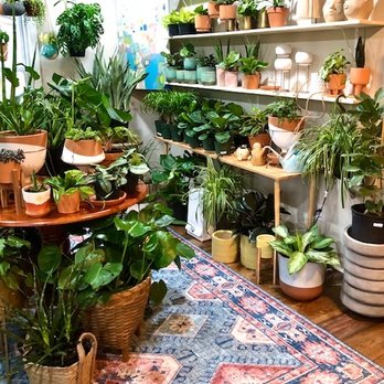 Hidden Seed Plant - Nurseries & Gardening Near Me - Spring Hill, Tennessee