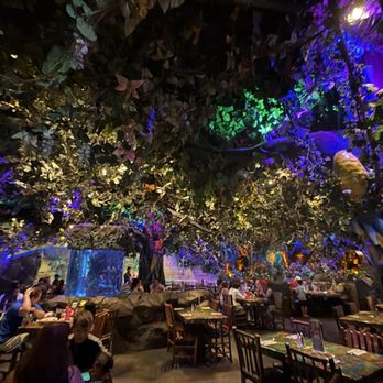 Rainforest Cafe - Whole Restaurant - American Near Me - Galveston, Texas Rainforest Cafe - Whole Restaurant - American Near Me - Galveston, Texas