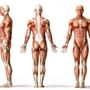 San Francisco Rolfing @ BodyMind Sciences - Jai Haissman
