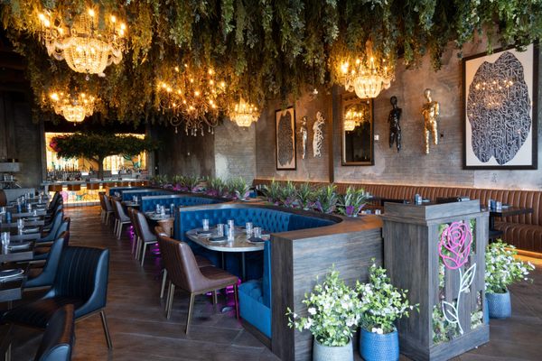 La Neta Cocina y Lounge by null