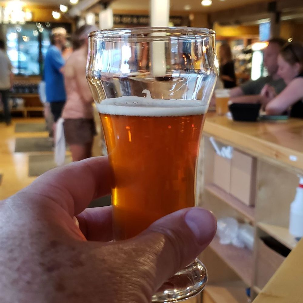 Mammoth Brewing - Larger than expected flight glasses. - Breweries Near Me - Mammoth Lakes, California