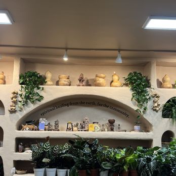 Raiz - Nurseries & Gardening Near Me - Oakland, California
