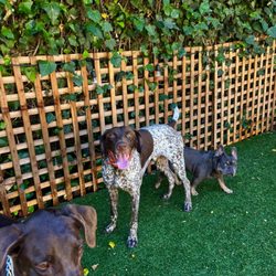 Teo And Friends Daycare