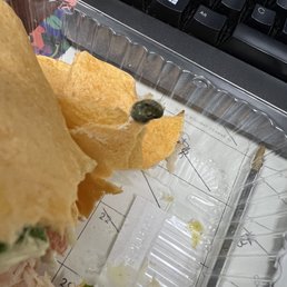 Turkey wrap with worm. Don't eat here Turkey wrap with worm. Don't eat here