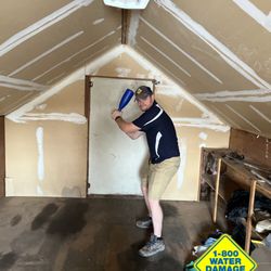 1-800 WATER DAMAGE of Prescott & North Scottsdale - Found a bat in the attic. Knocking mold out of the park!