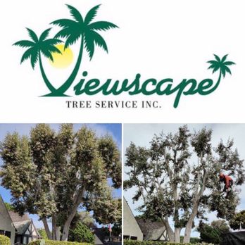 Viewscape Tree Service - Tree Services Near Me Viewscape Tree Service - Tree Services Near Me