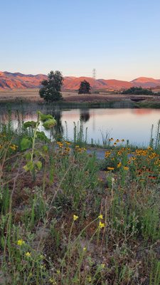 La Lomita Ranch by null