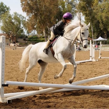 Neophyte Farms - Horseback Riding Near Me - Simi Valley, California Neophyte Farms - Horseback Riding Near Me - Simi Valley, California