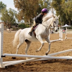 Neophyte Farms