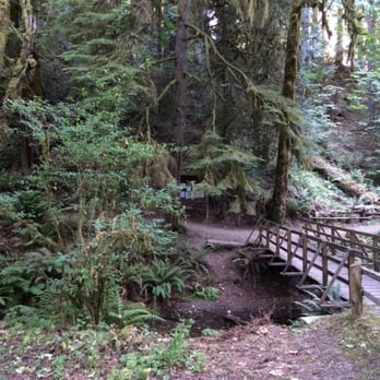Twanoh State Park - Bridge leading to walking trail - Campgrounds Near Me - Union, Washington