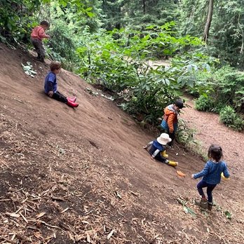 Forest Bloom Outdoor School - Preschools Near Me - San Francisco, California Forest Bloom Outdoor School - Preschools Near Me - San Francisco, California