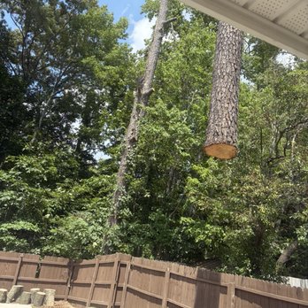 Marshall's Tree Service - Tree Services Near Me - Virginia Beach, Virginia