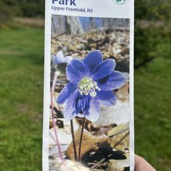 Clayton Park - Pamphlets available