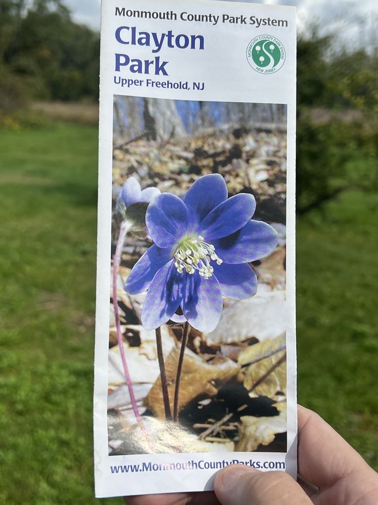 Clayton Park Logo