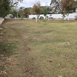 Parque los Grillos - El área vede, un buen espacio para que niños y perros corran.