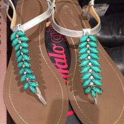 Buffalo Outlet