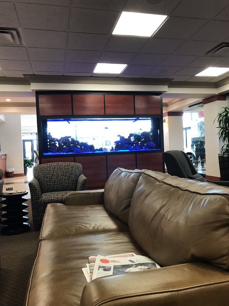 LEXUS OF DAYTON 12 Reviews Car Dealers 8111 Yankee